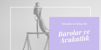 Farklı Ülkelerdeki Baro Sistemleri Nasıl?