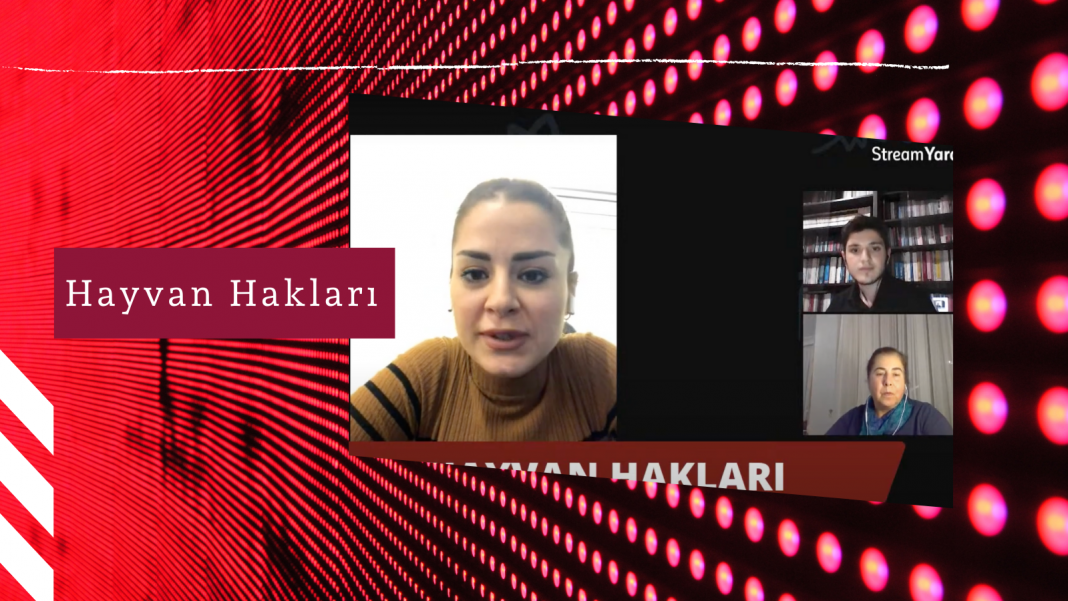 Hayvan Hakları