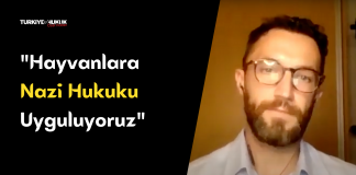 Serkan Köybaşı: Bu Hukuk Sisteminde Hayvan Hakları Olamaz