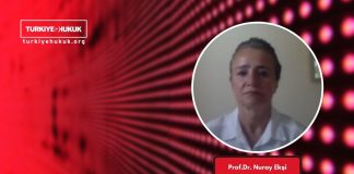 Prof. Dr. Nuray Ekşi:Kabotaj Hakkı için Türk Bayrağı Taşımak Gerekli