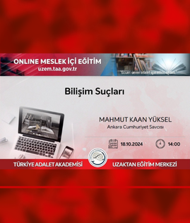 Bilişim Suçları